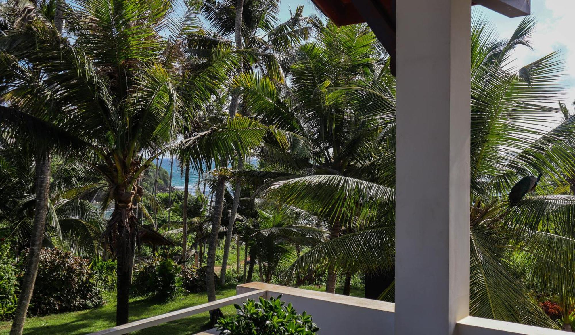 Singhe House Dickwella Exterior foto