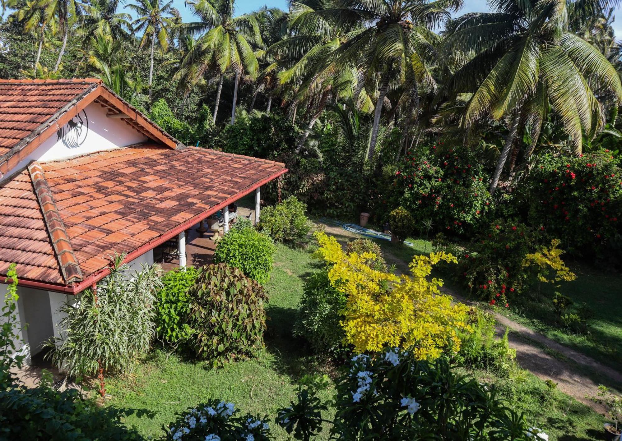 Singhe House Dickwella Exterior foto