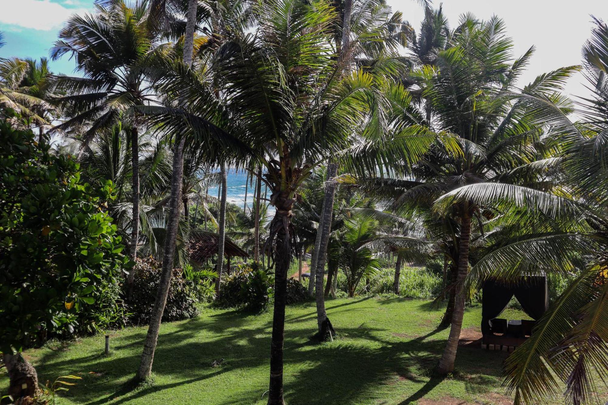 Singhe House Dickwella Exterior foto